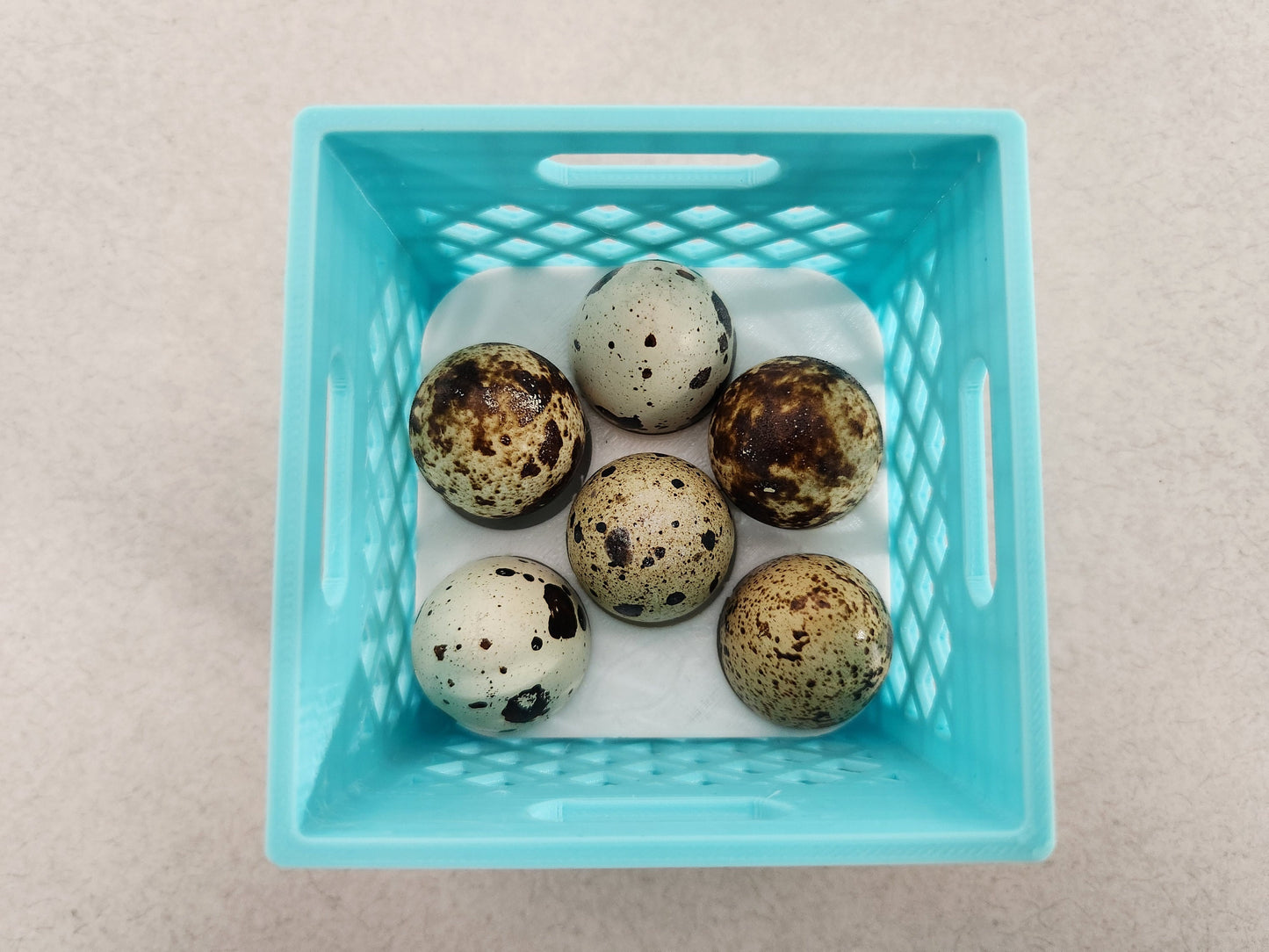 Mini Crates with Flexible Quail Egg Trays
