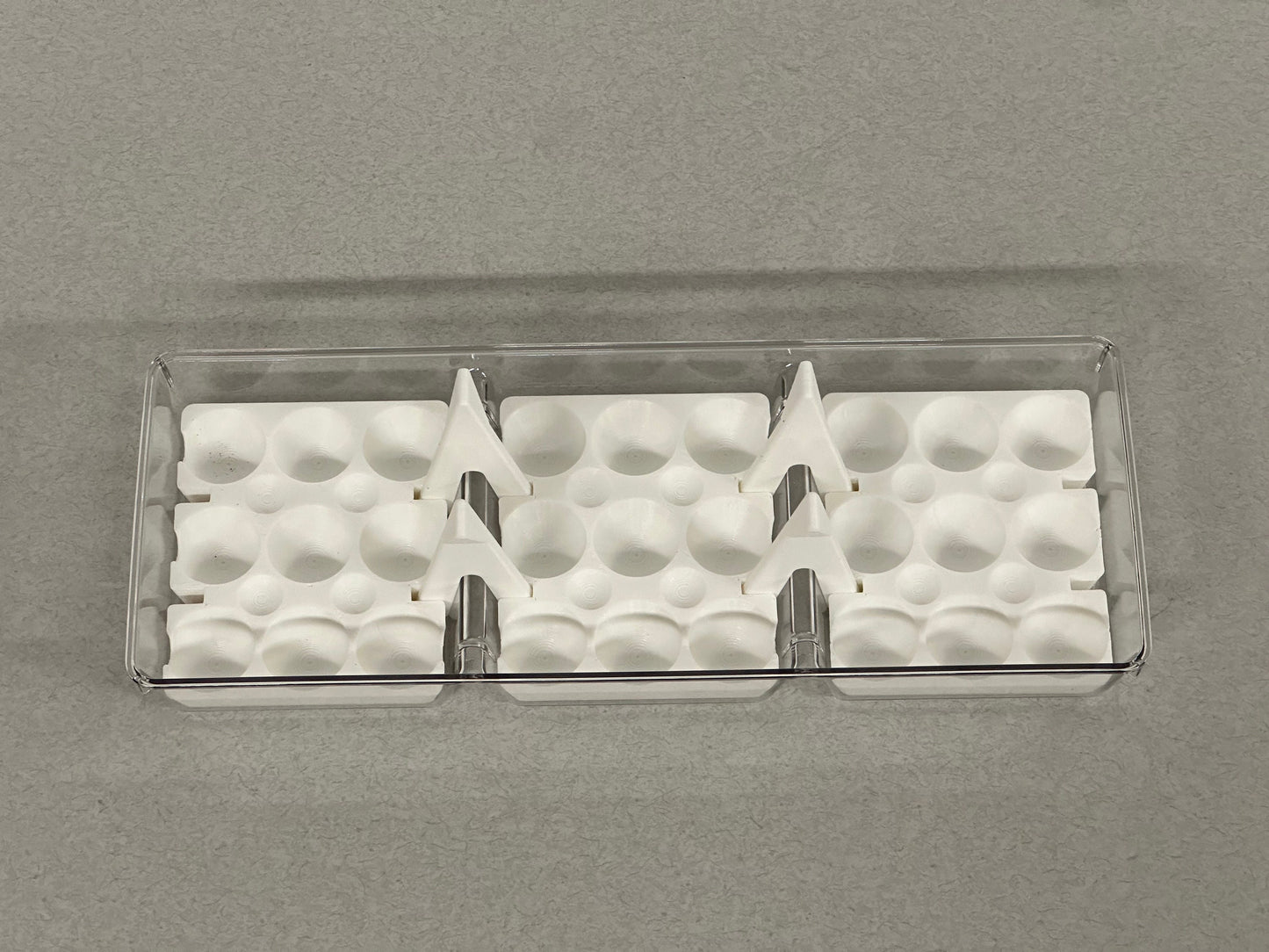 Custom Coturnix Quail Egg Tray System
