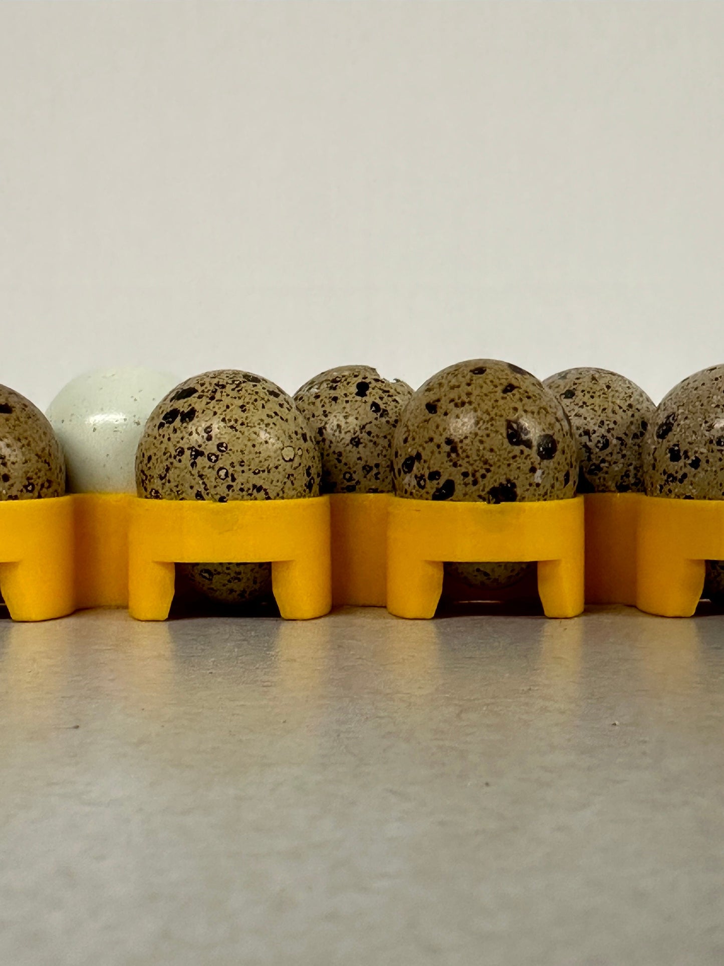 Cimuka CT120 Quail Egg Rack for Incubators