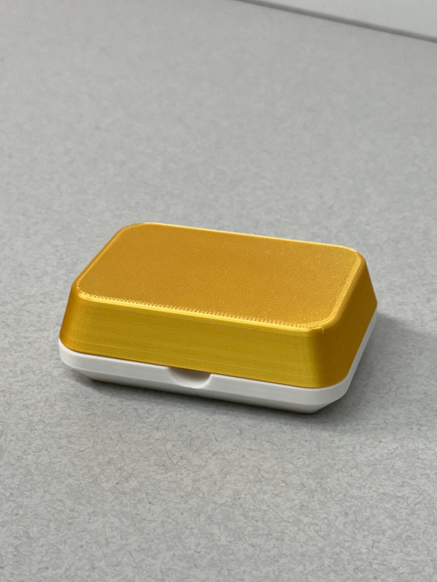 Modern Egg Carton for Button Quail or Parrot Eggs