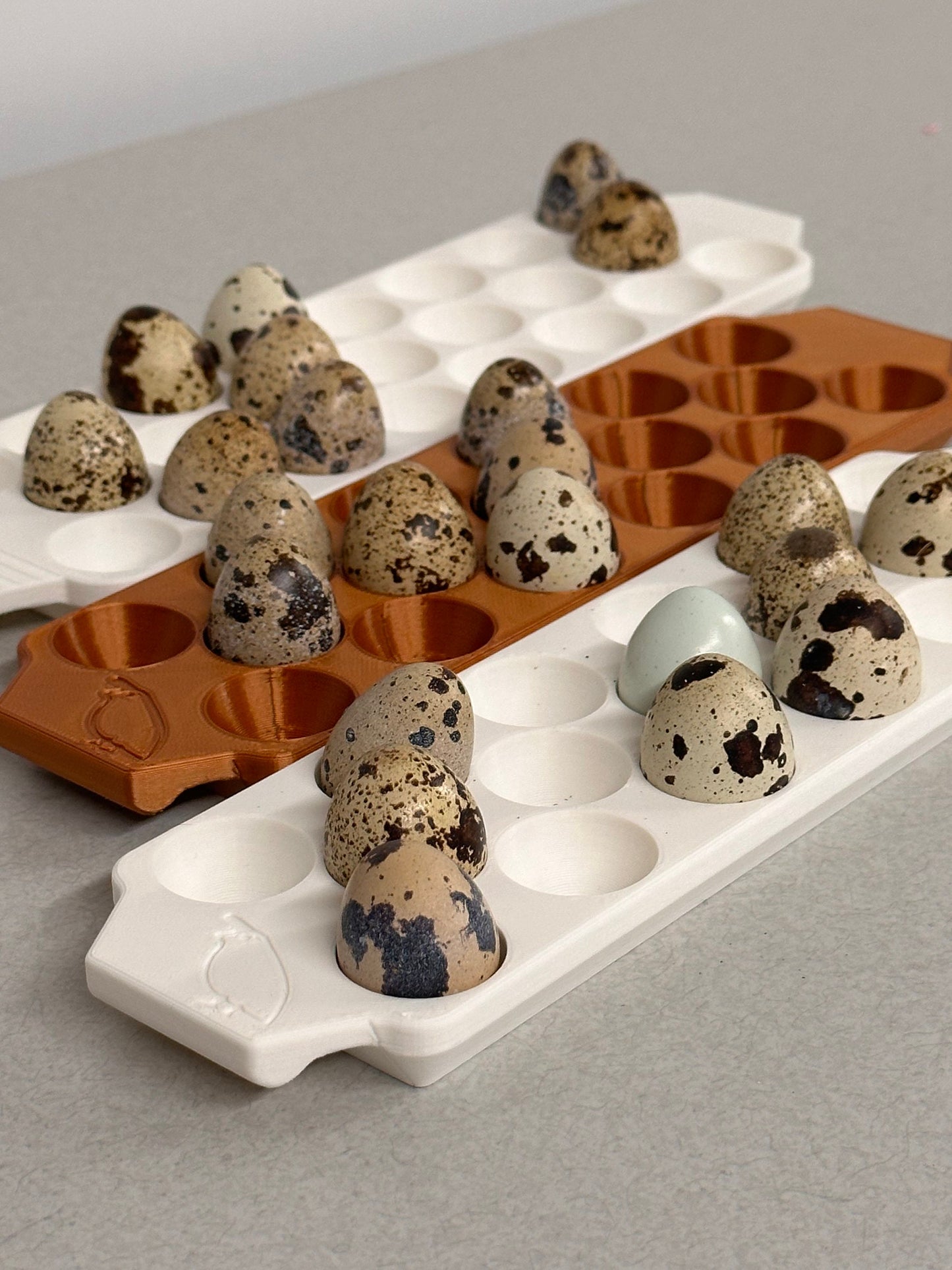 Custom Coturnix Quail Egg Tray with Handles