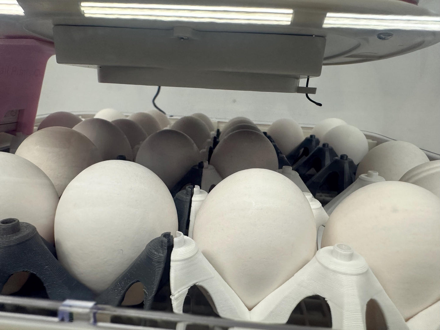 Upright Egg Support Tray for Maticoopx 30