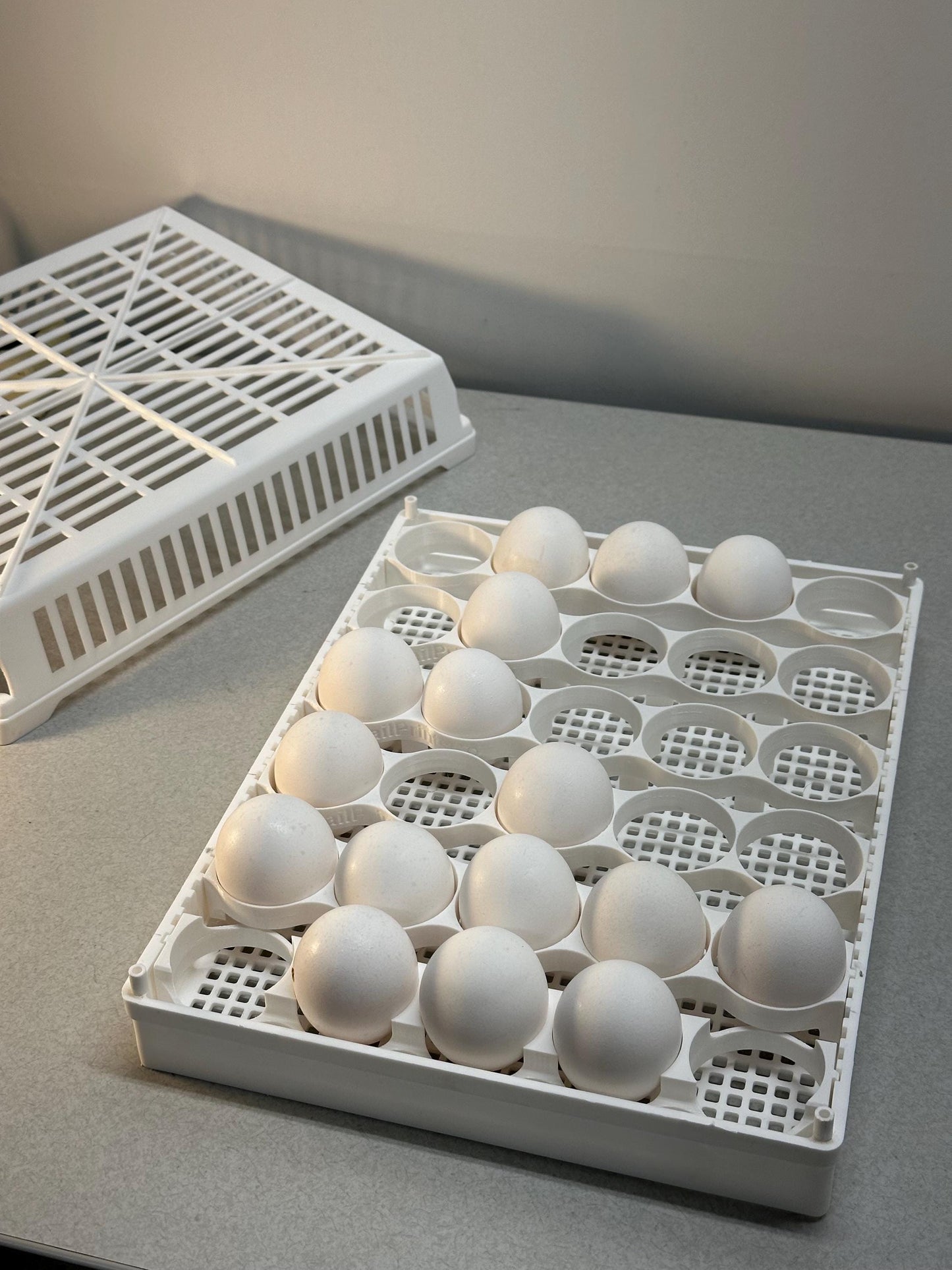 Custom Egg Trays for Cimuka HB350 Setter Baskets