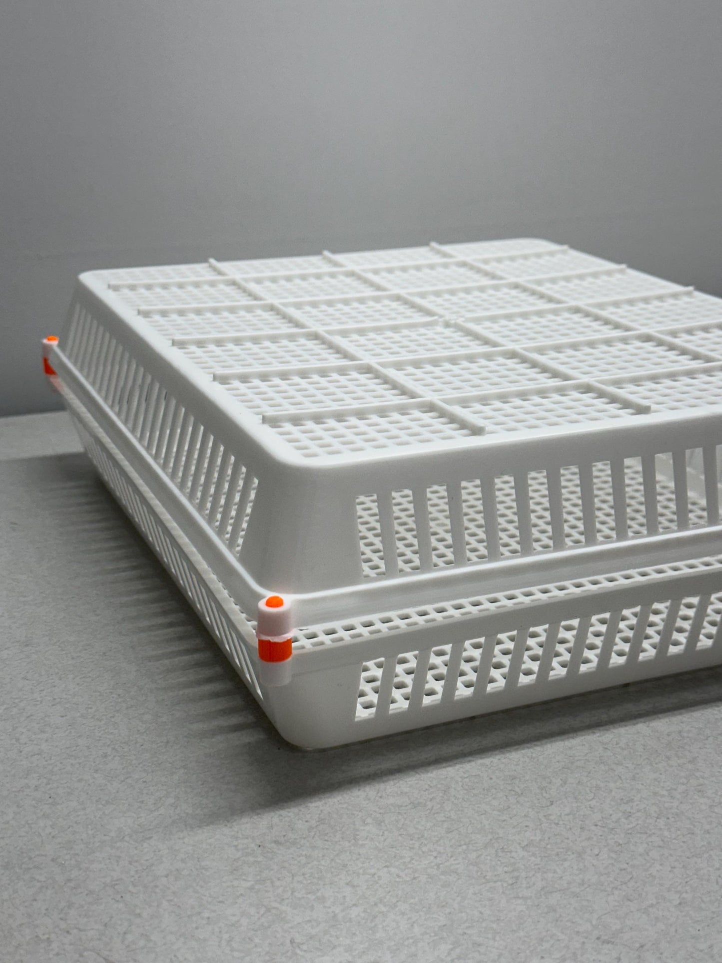 Replacement Pins for Hatching Time Egg Setter Basket (Flexy35Y)