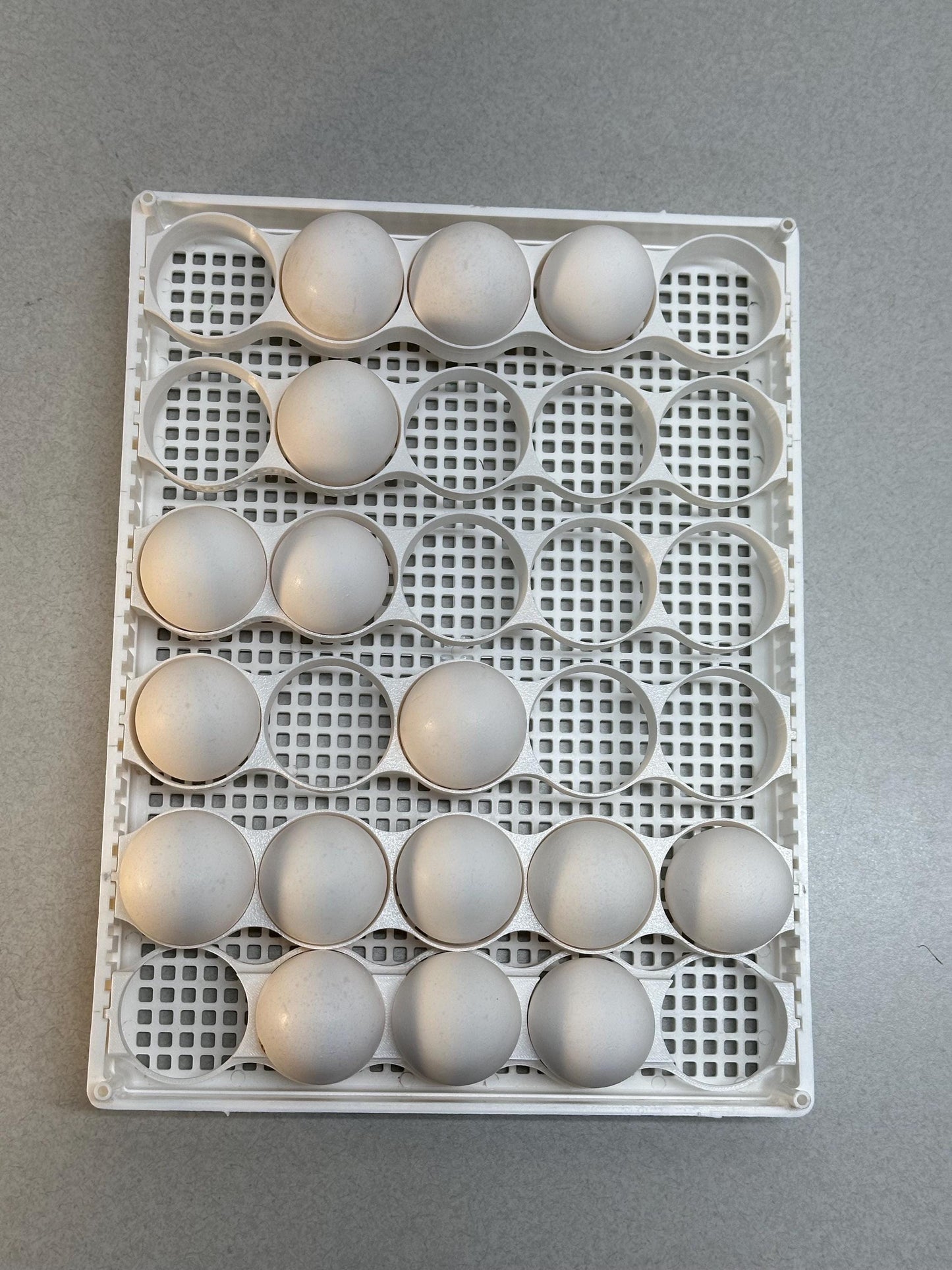 Custom Egg Trays for Cimuka HB350 Setter Baskets