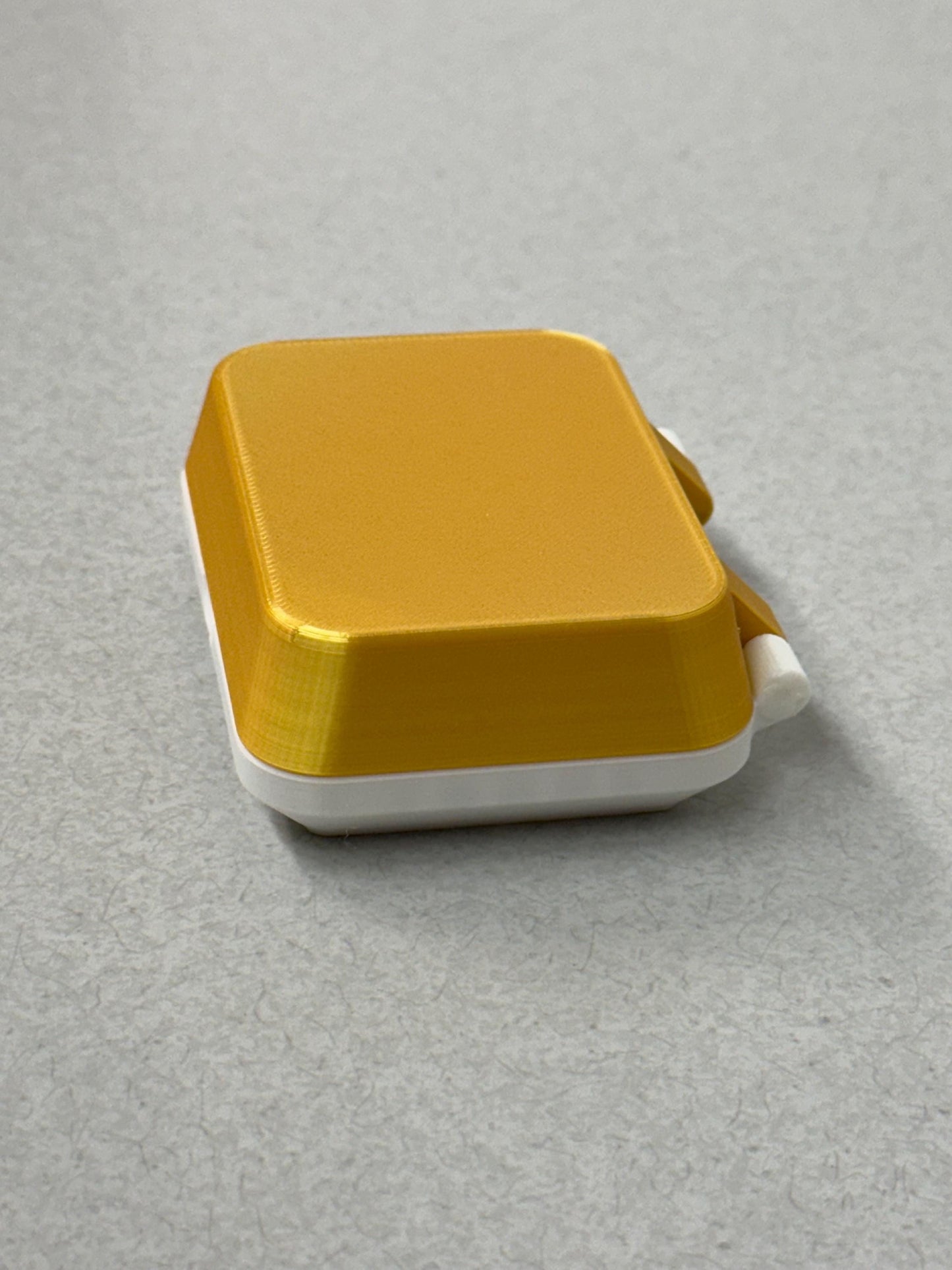 Modern Egg Carton for Button Quail or Parrot Eggs