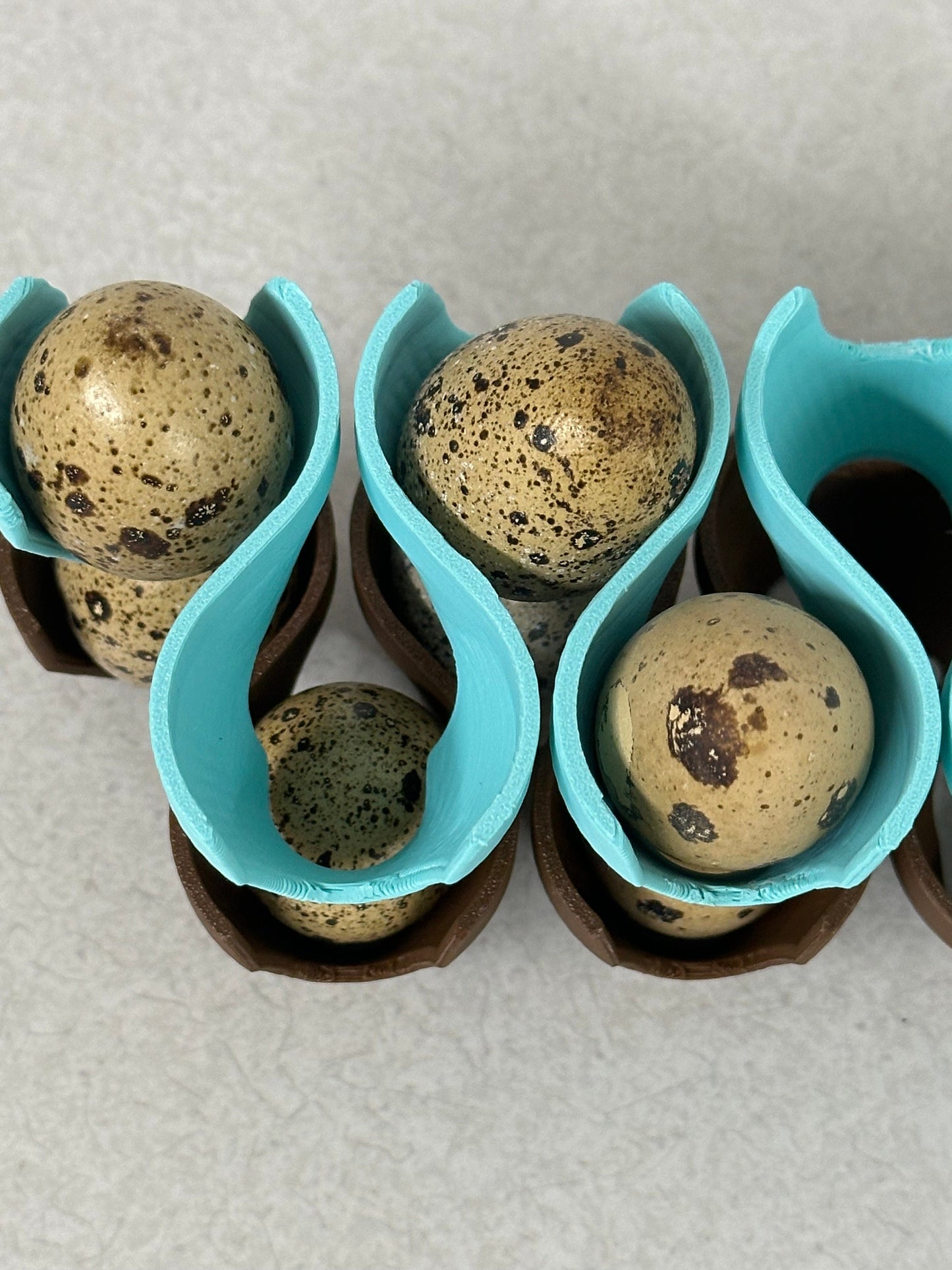 Jumbo Coturnix Quail Egg Stackable Tray