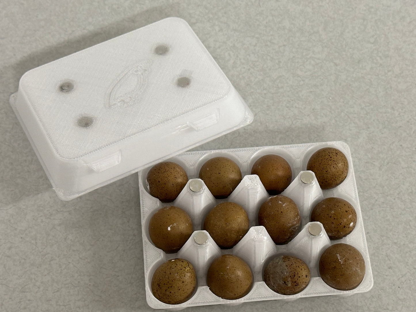 Button Quail Egg Carton
