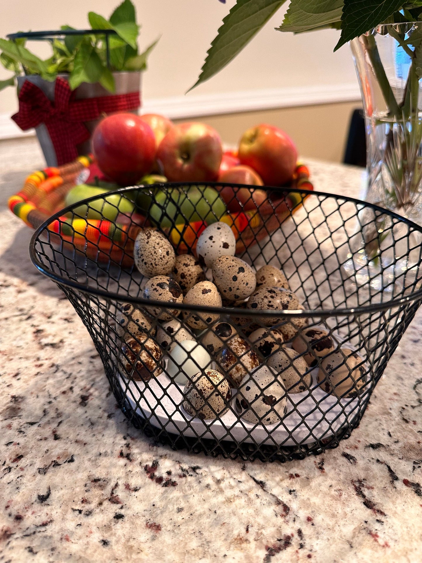 Farmhouse Wire Basket with Quail Egg Tray