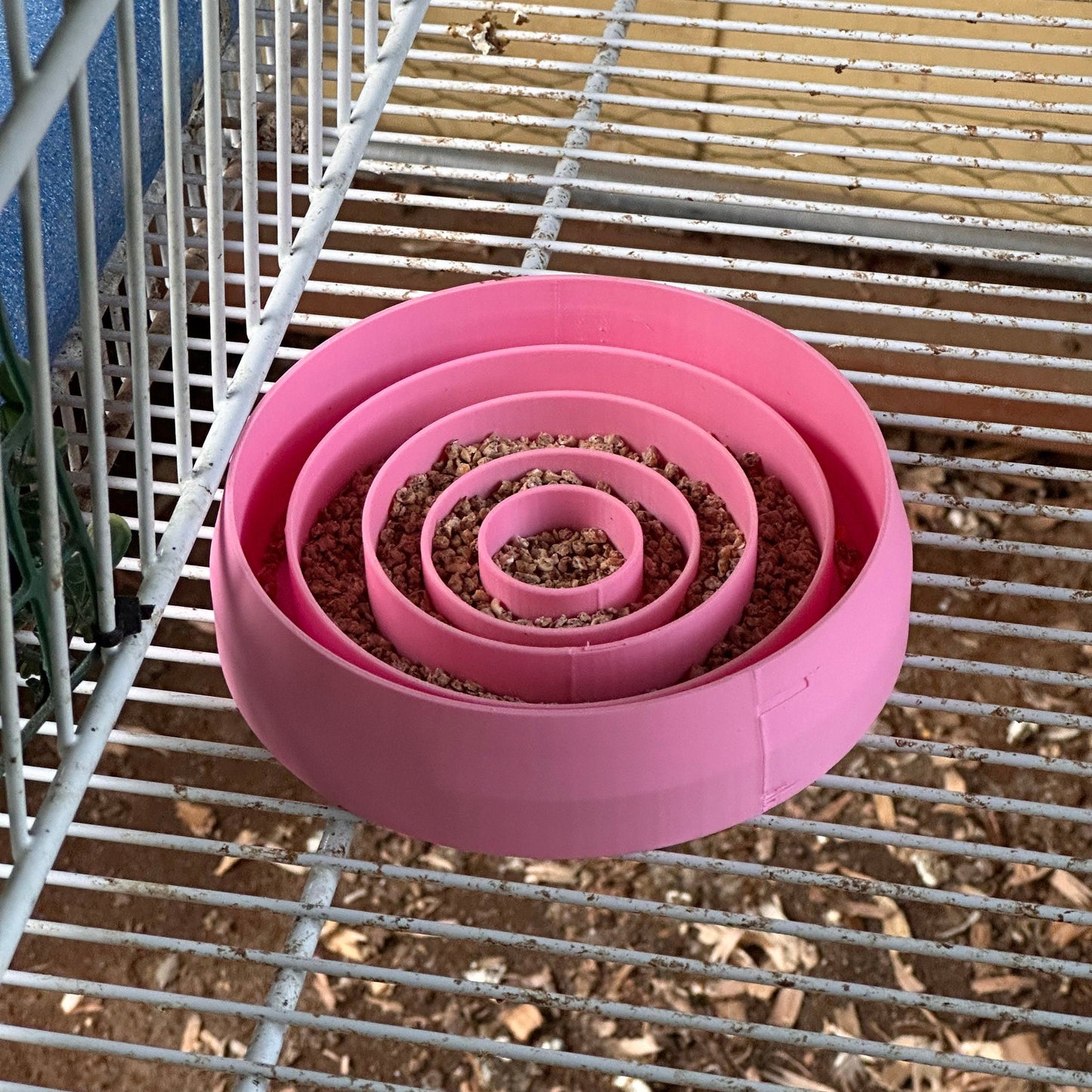 Ultimate Quail Feeding Dish