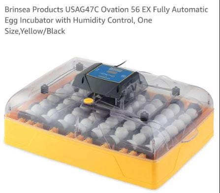 Brinsea Quail Egg Racks for Incubator Baskets