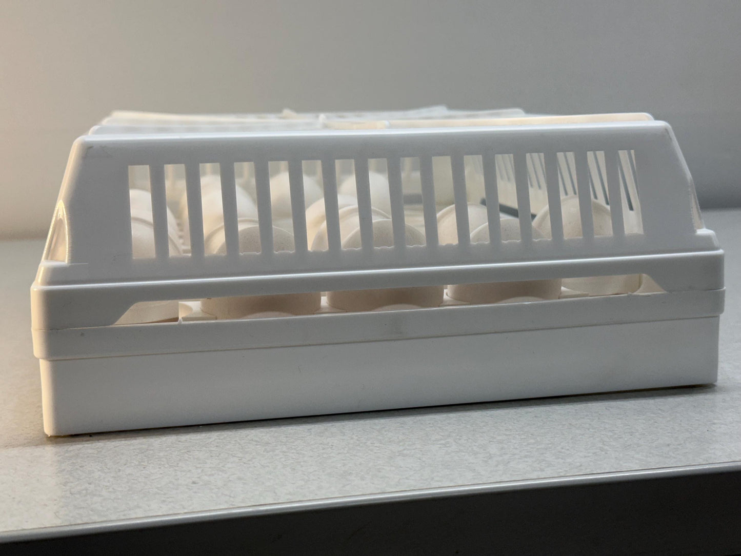 Custom Egg Trays for Cimuka HB350 Setter Baskets