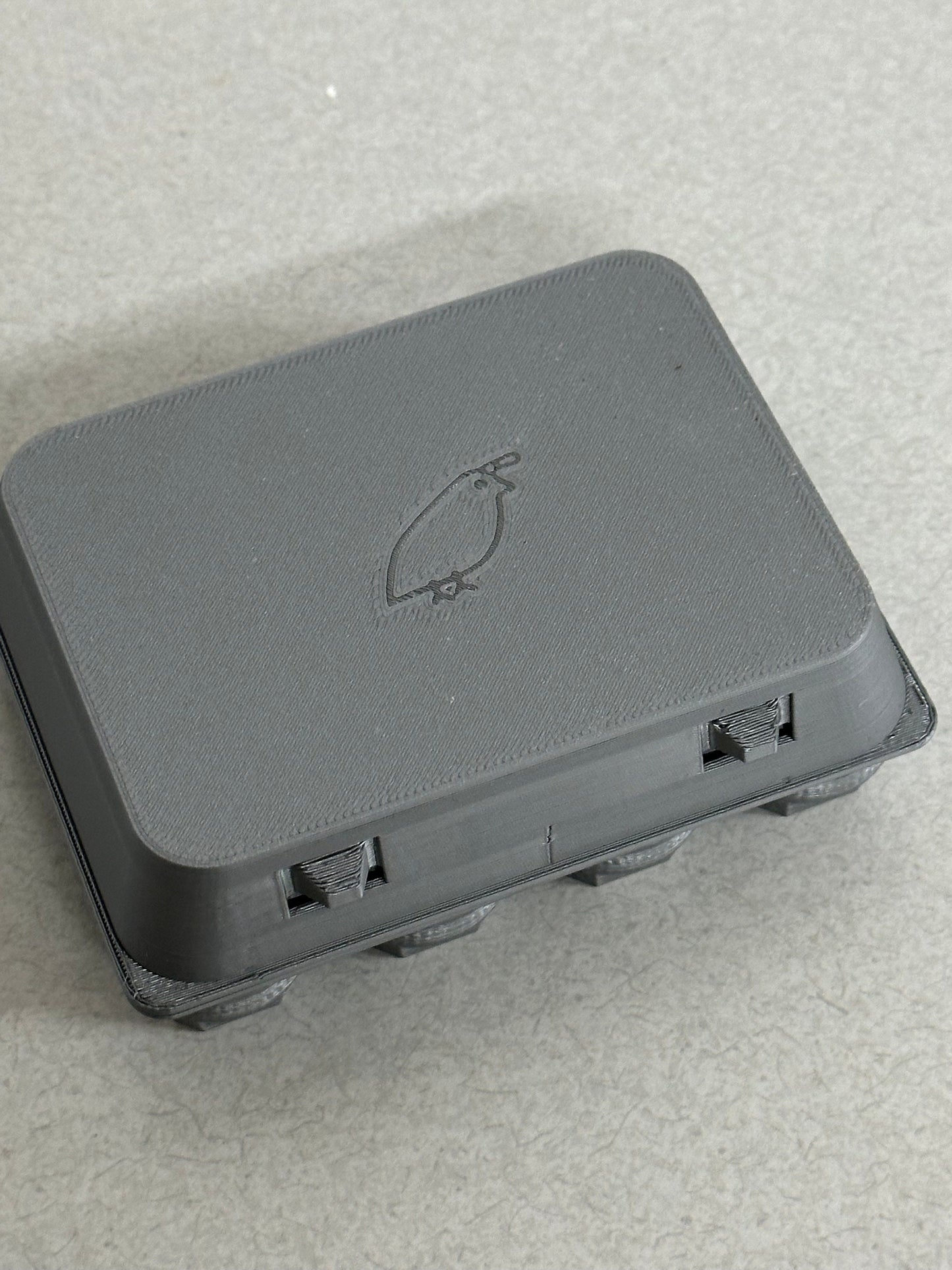 Adorable Classic Coturnix Quail Egg Carton