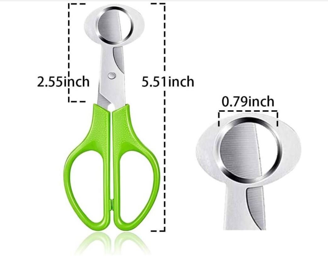 Quail Egg Scissor and Cover