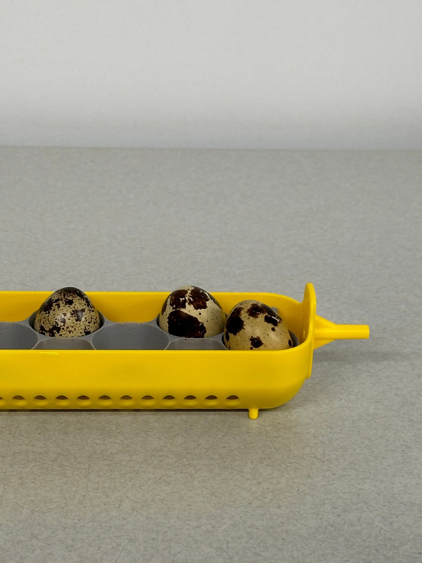 Maticoopx Jumbo Coturnix Quail Egg Rack for Incubators