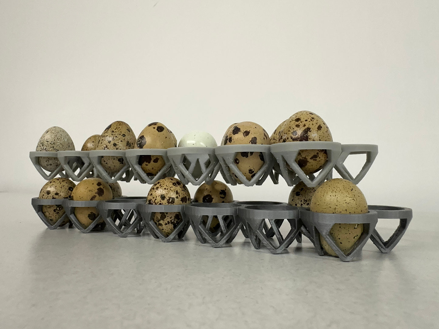 Custom Stackable Coturnix Quail Egg Tray