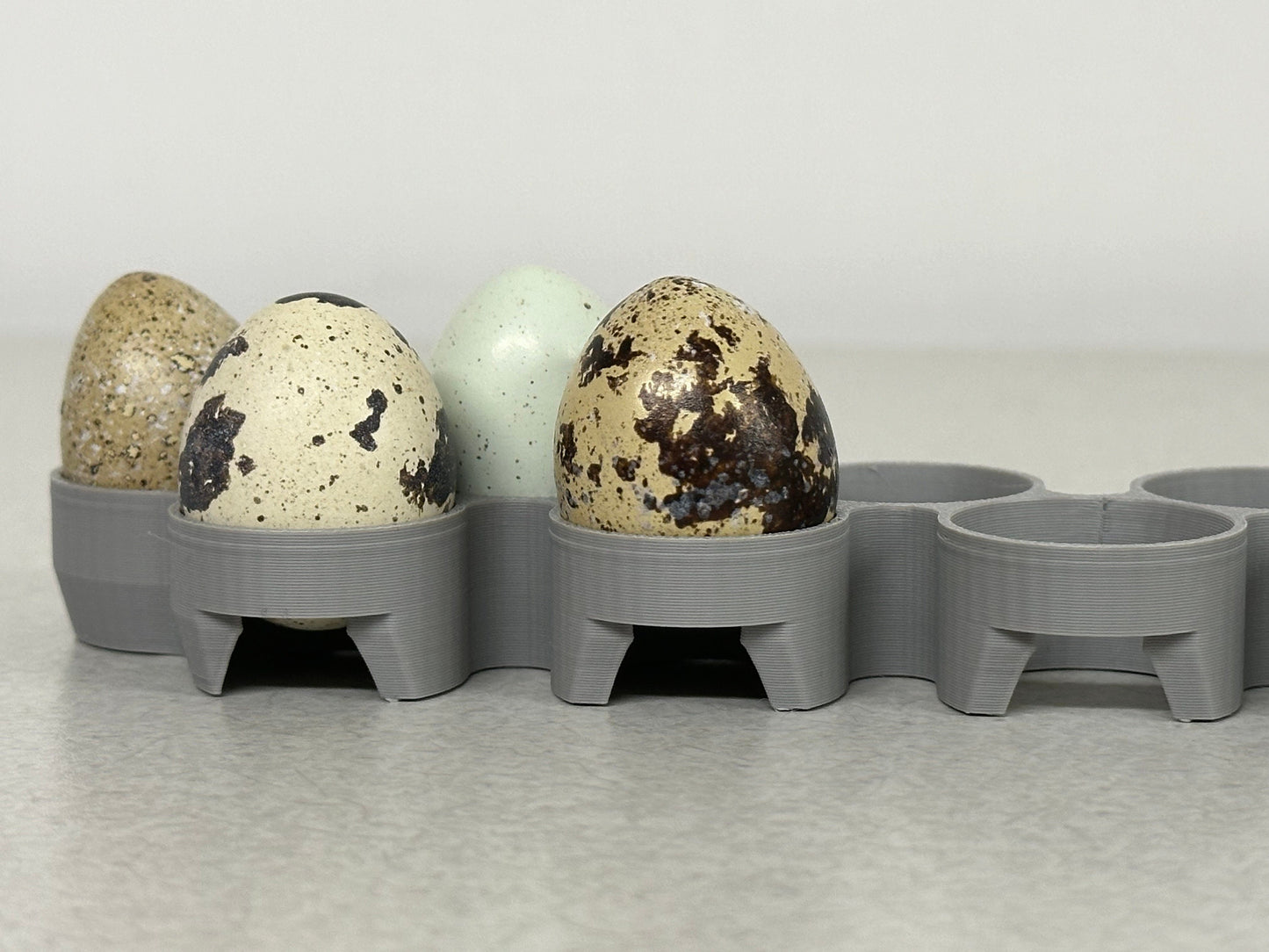 Maticoopx Coturnix Quail Egg Rack for Incubators