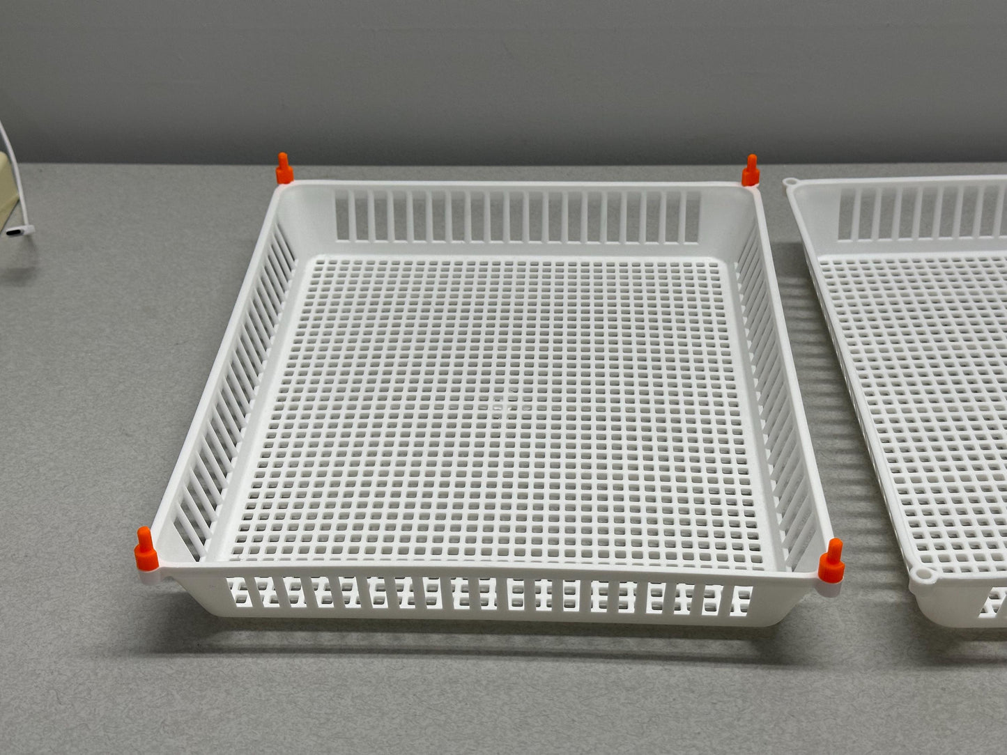Replacement Pins for Hatching Time Egg Setter Basket (Flexy35Y)