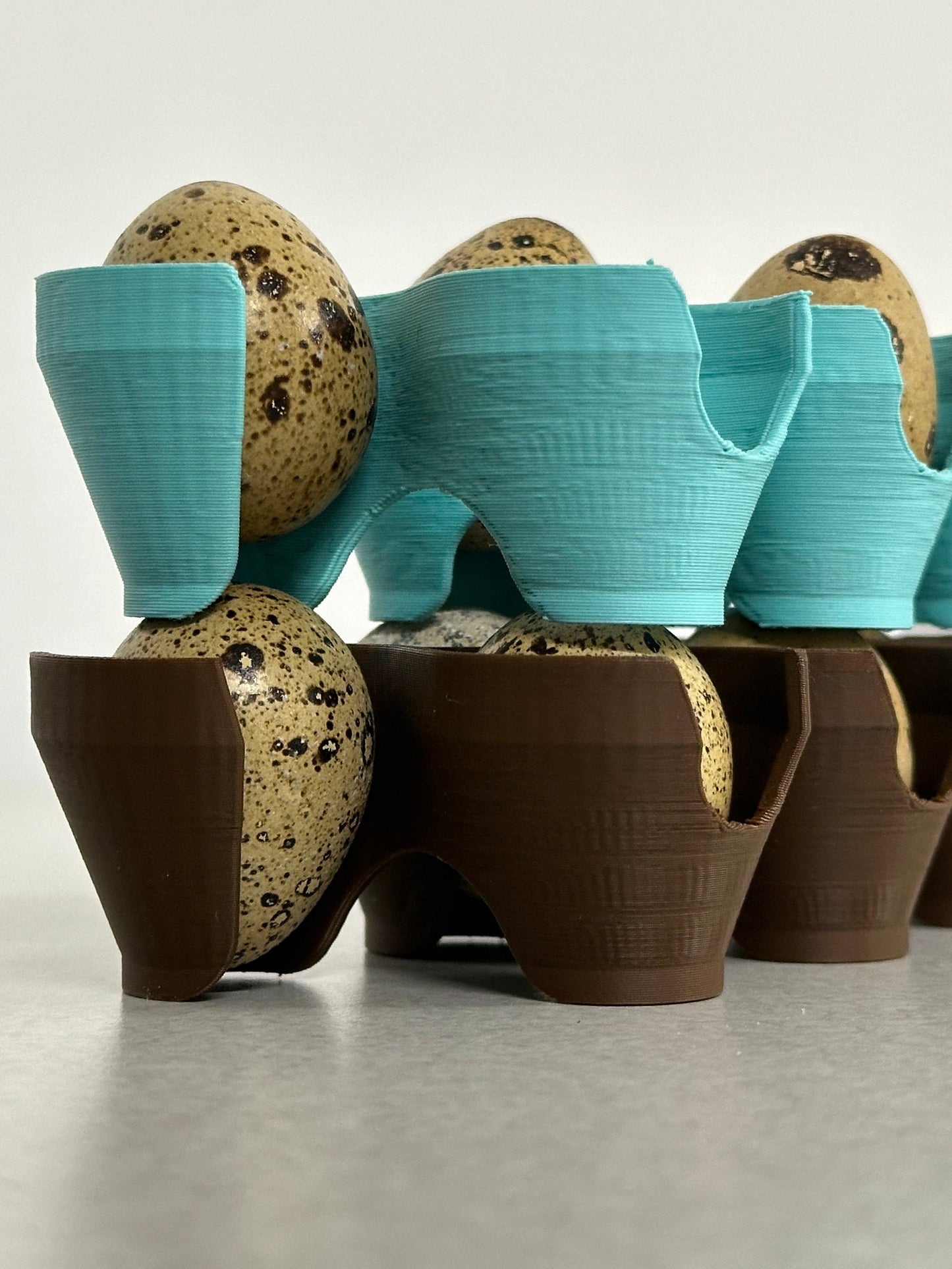 Jumbo Coturnix Quail Egg Stackable Tray
