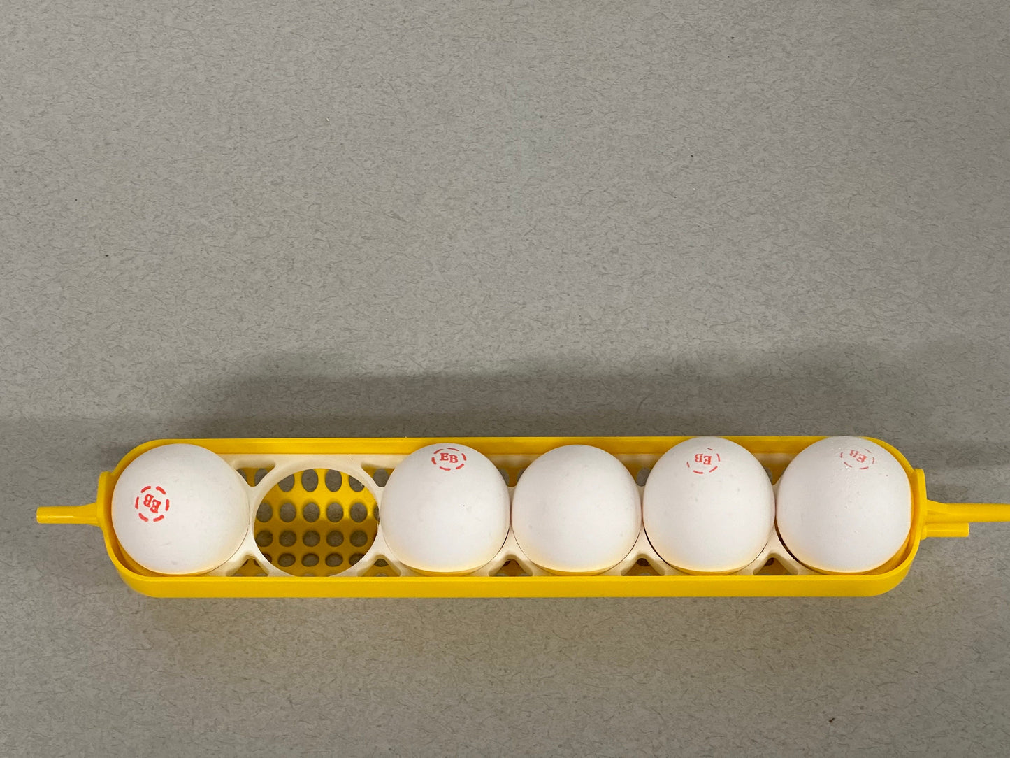 Maticoopx Chicken Egg Rack for Incubators