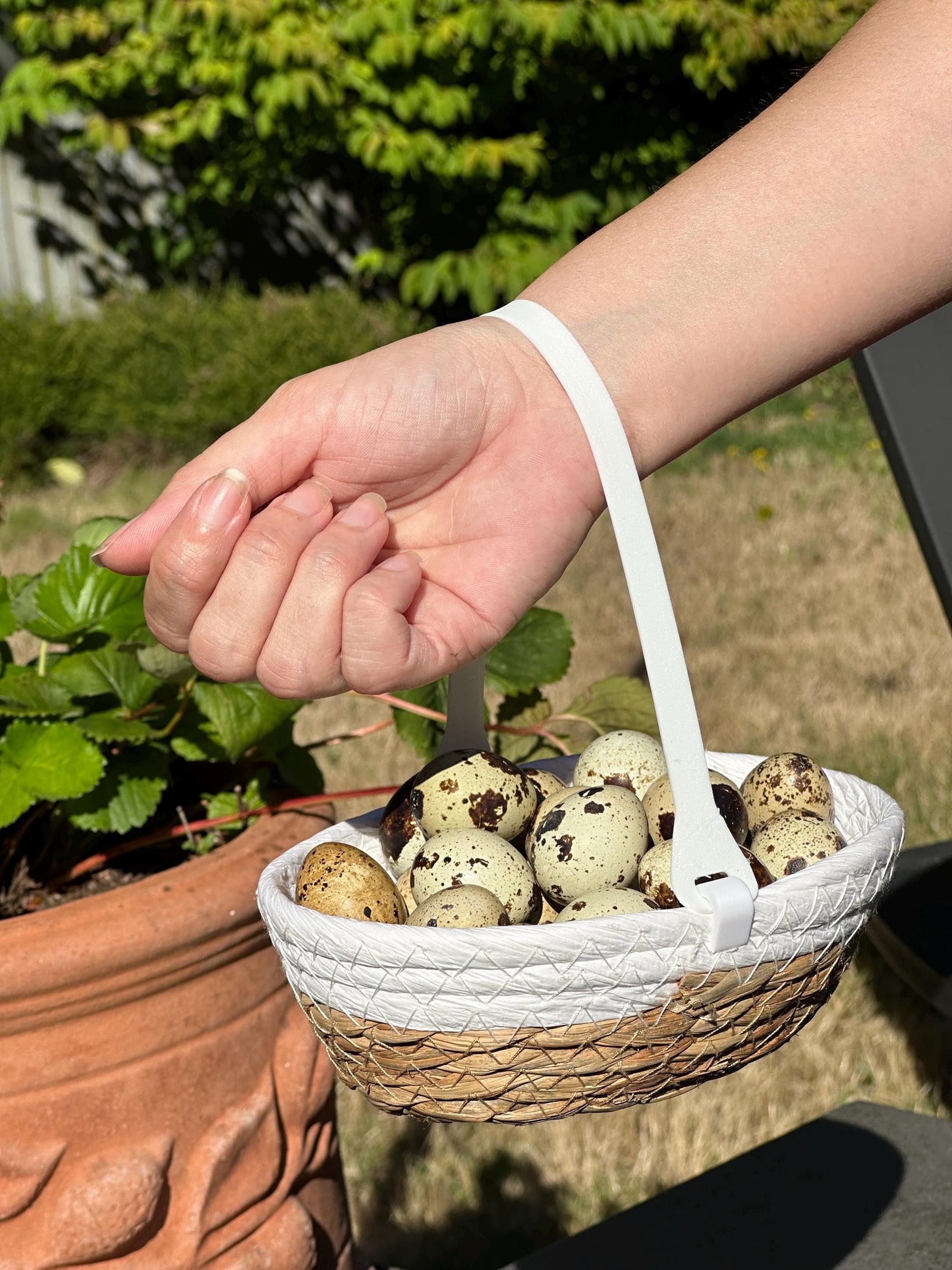 Quail Egg Hunt Basket