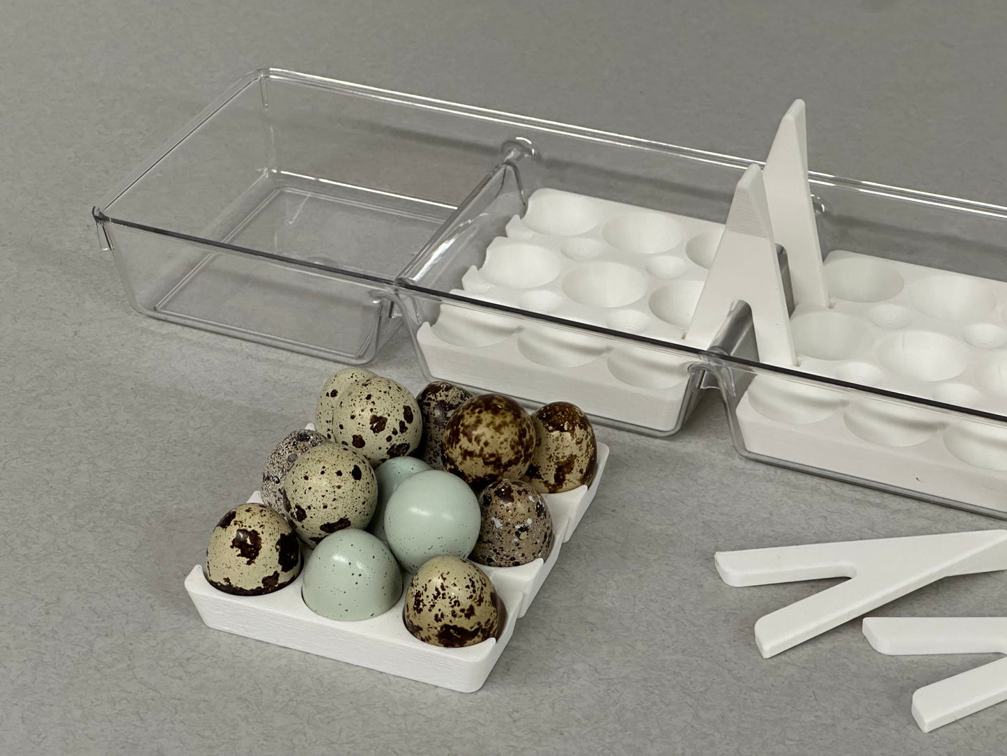 Custom Coturnix Quail Egg Tray System