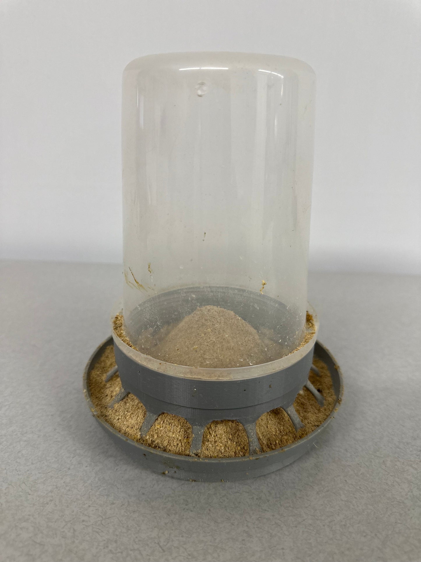 Quail Chick Feeder
