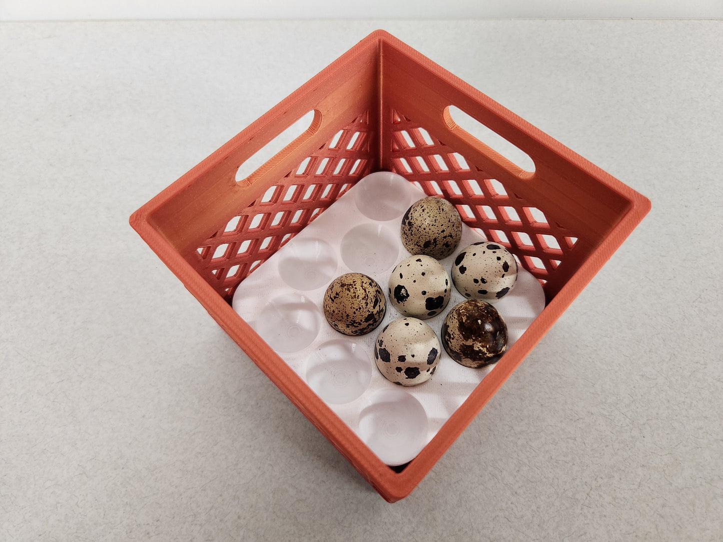 Mini Crates with Flexible Quail Egg Trays