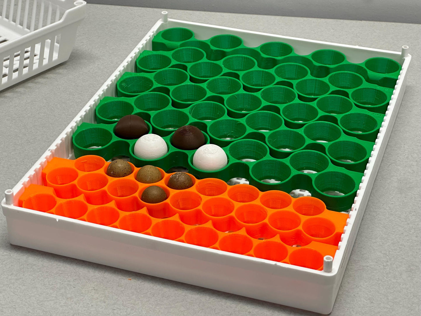 Custom Egg Trays for Cimuka HB350 Setter Baskets