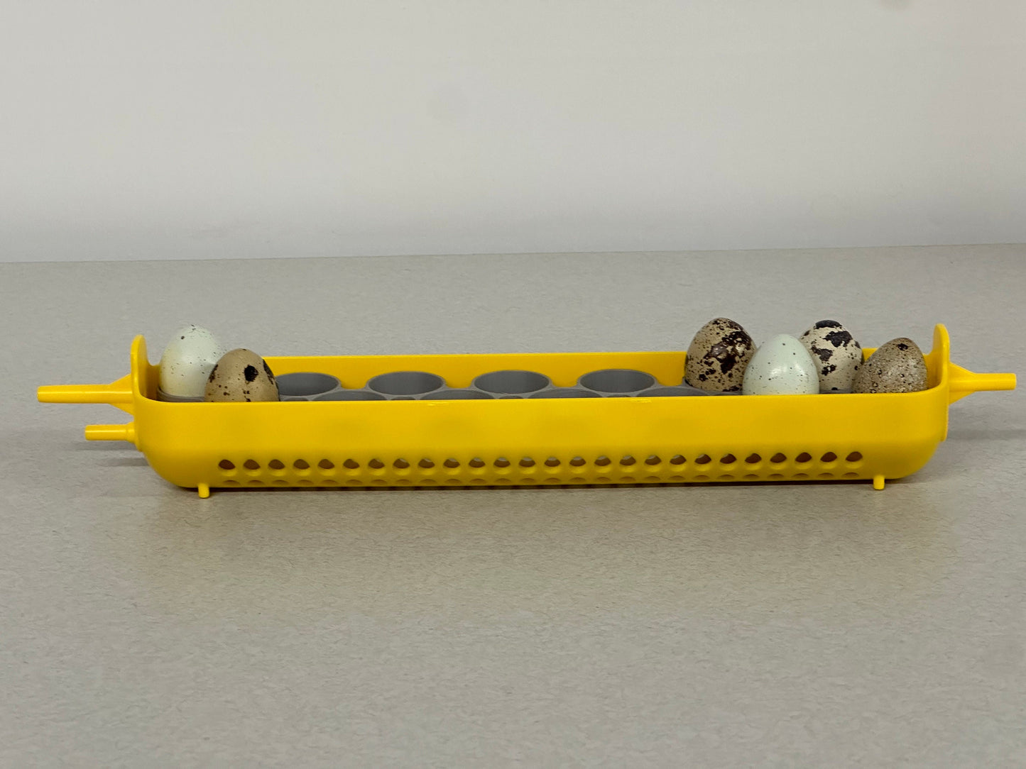 Maticoopx Coturnix Quail Egg Rack for Incubators
