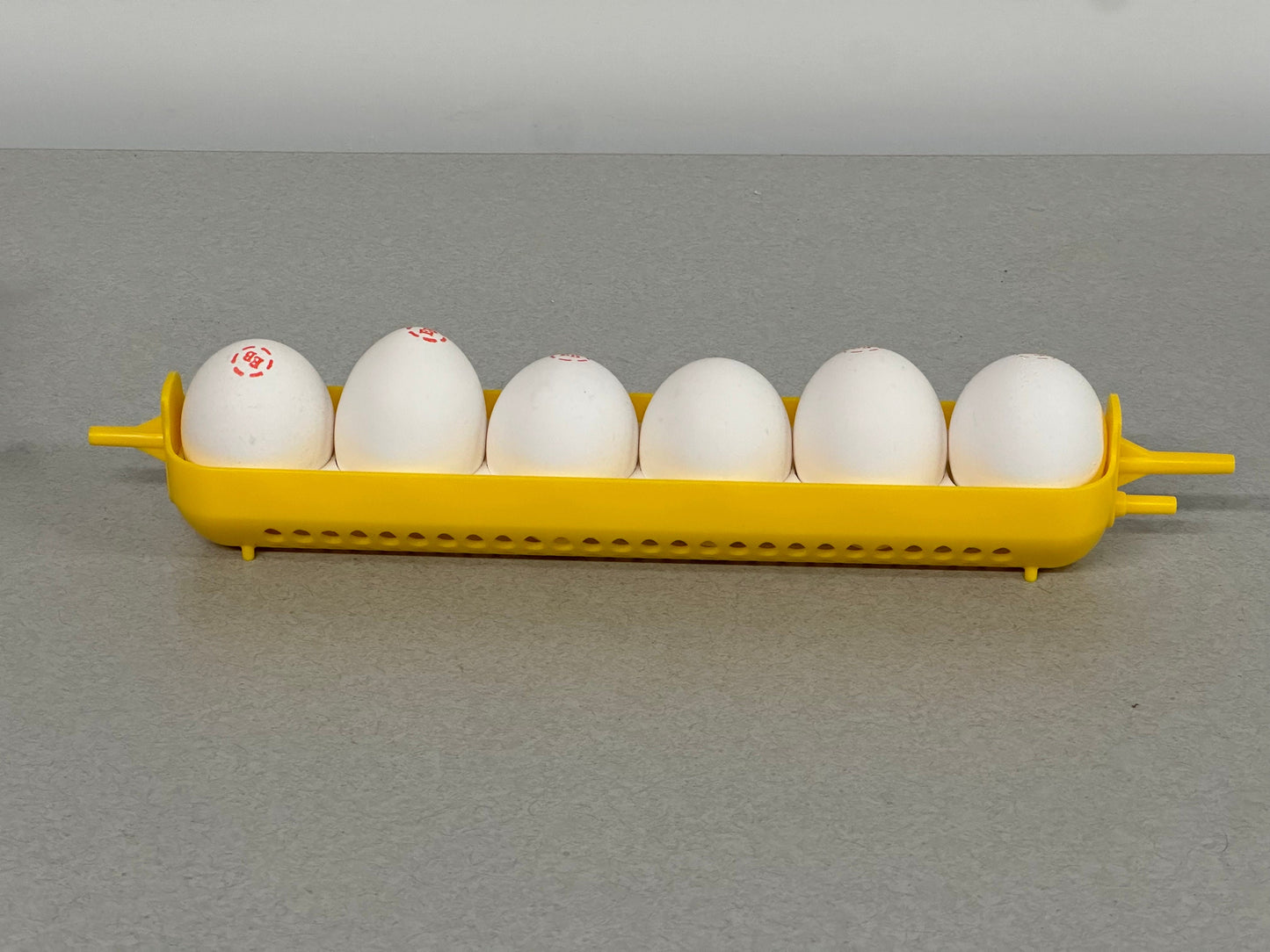 Maticoopx Chicken Egg Rack for Incubators
