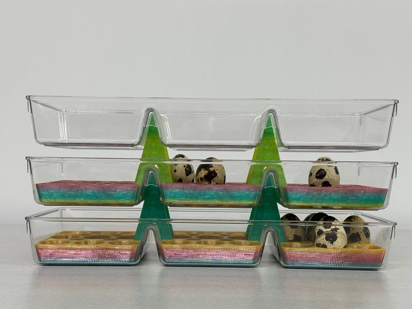 Custom Coturnix Quail Egg Tray System
