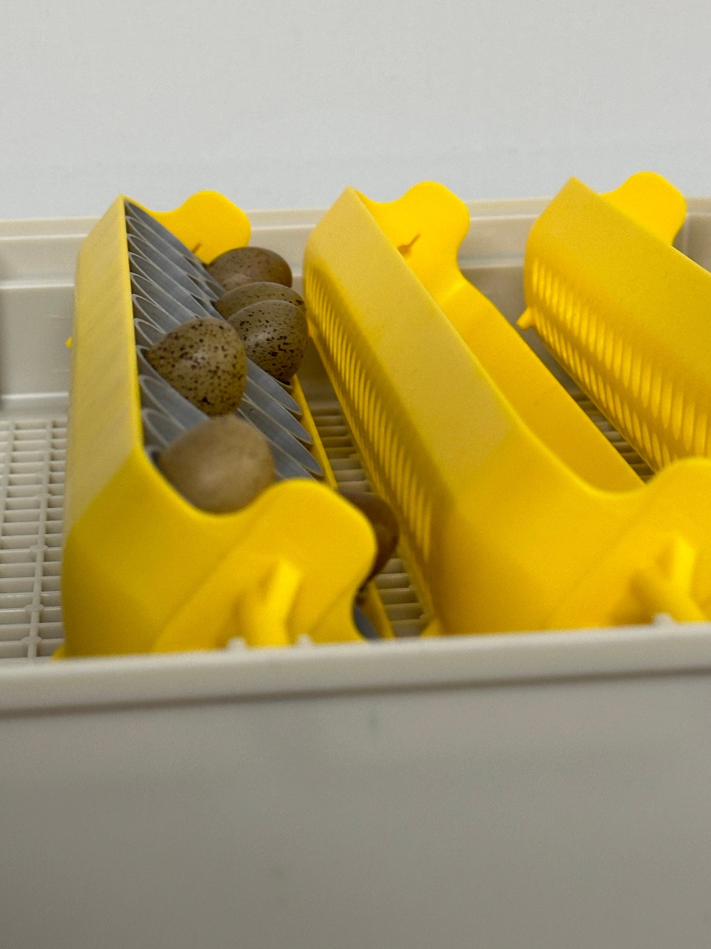 Maticoopx Tiny Button Quail Egg Rack for Incubators