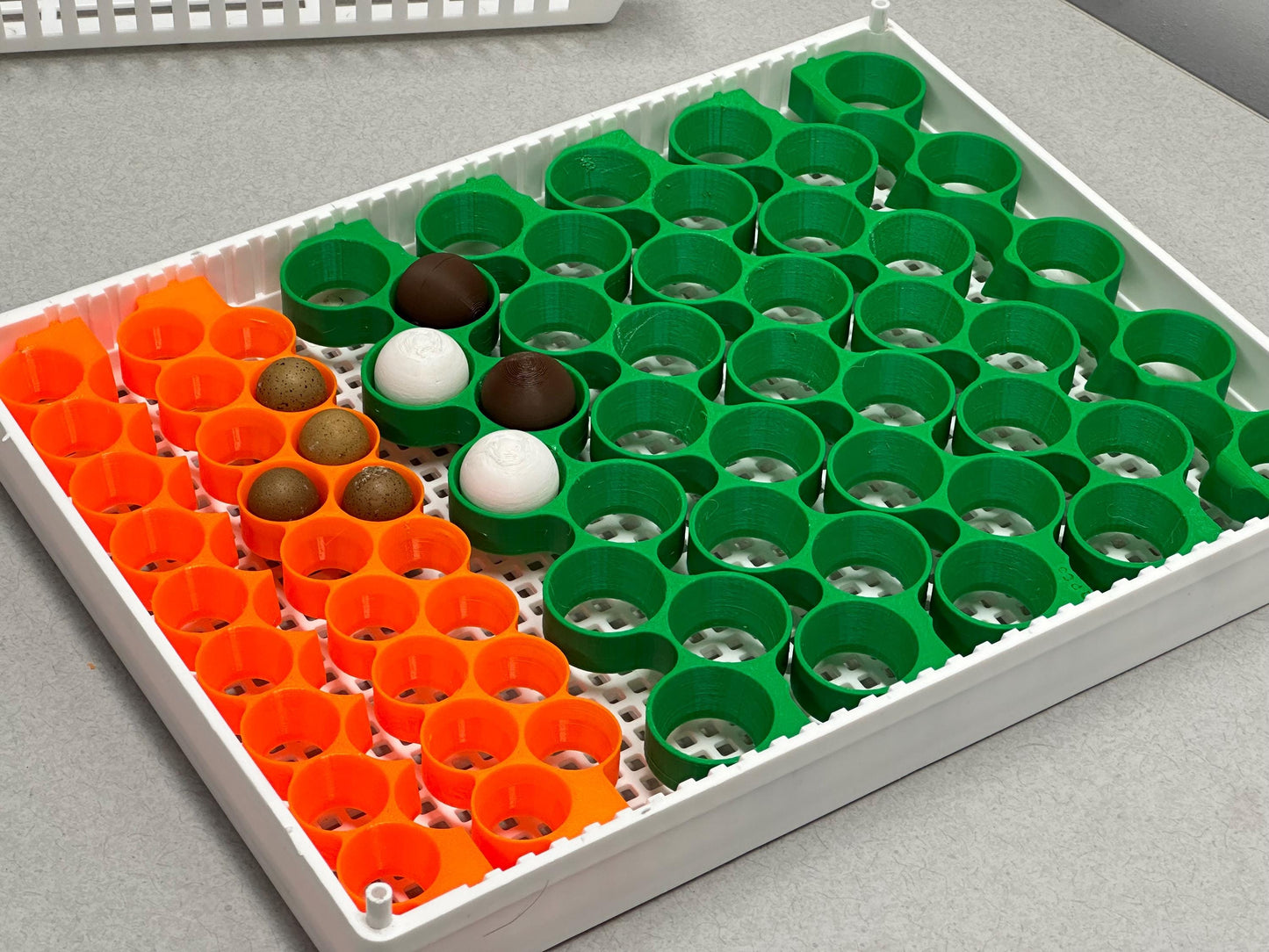 Custom Egg Trays for Cimuka HB350 Setter Baskets