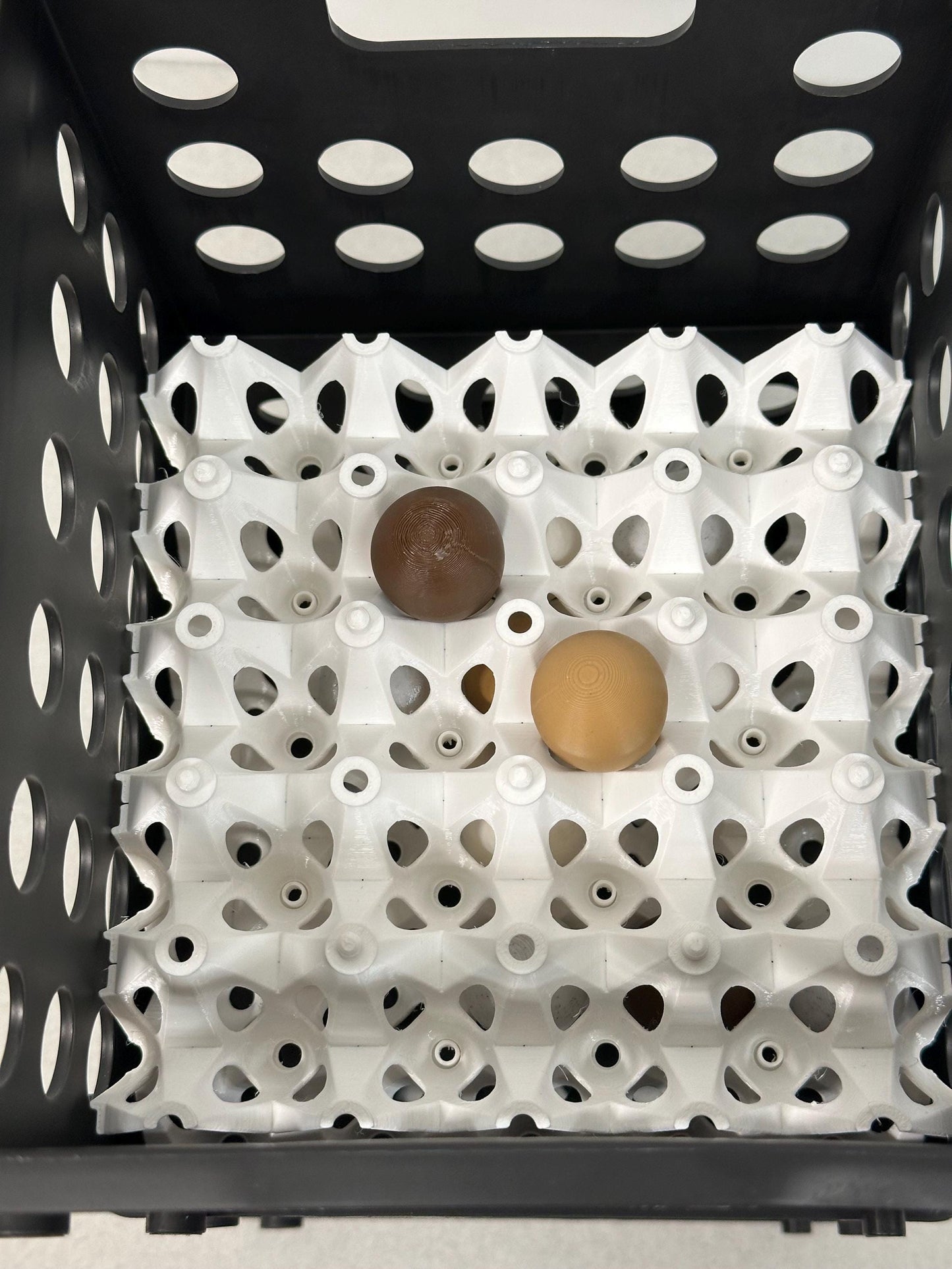 Stackable Coturnix Quail Egg Carton