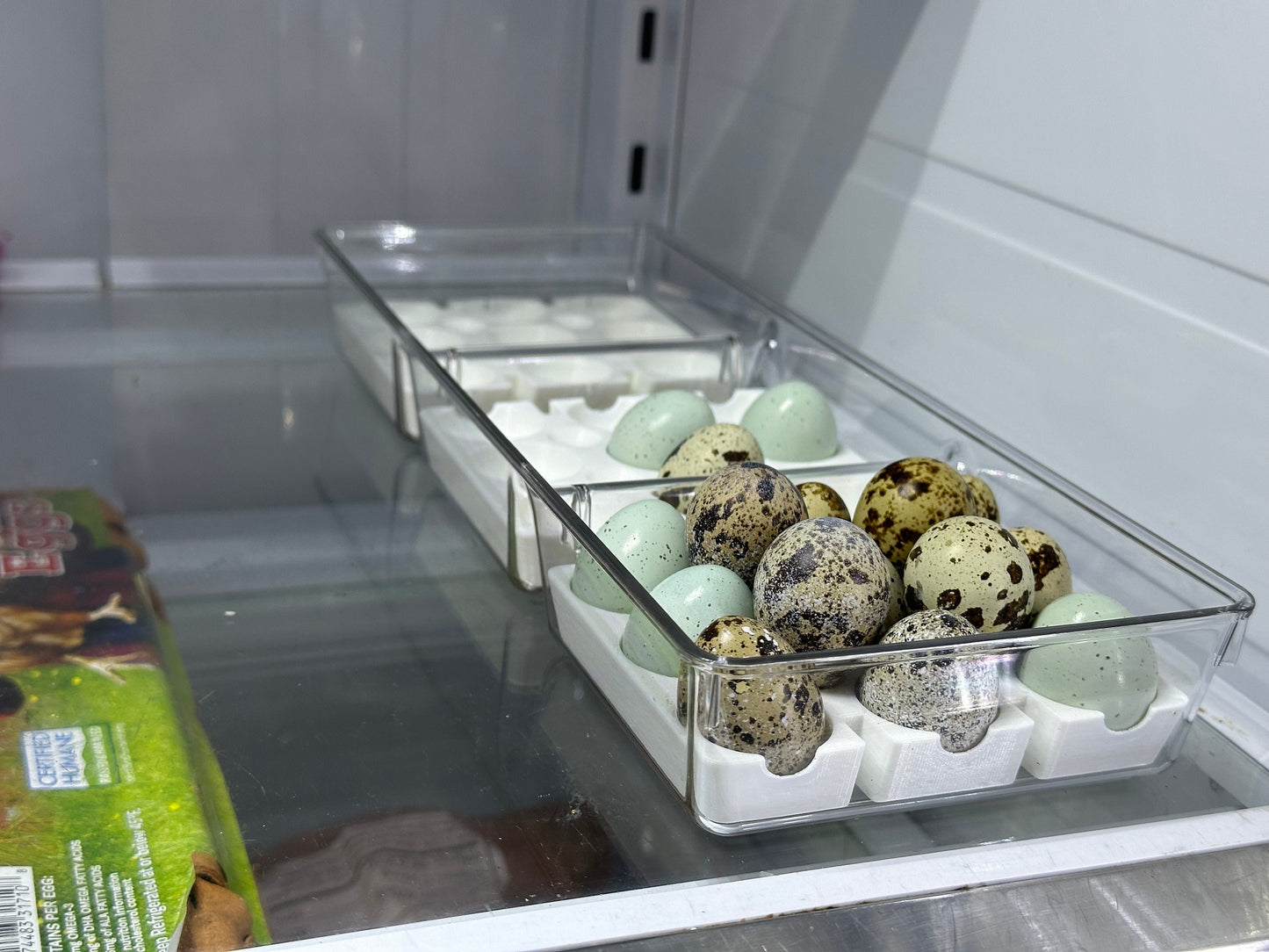 Custom Coturnix Quail Egg Tray System