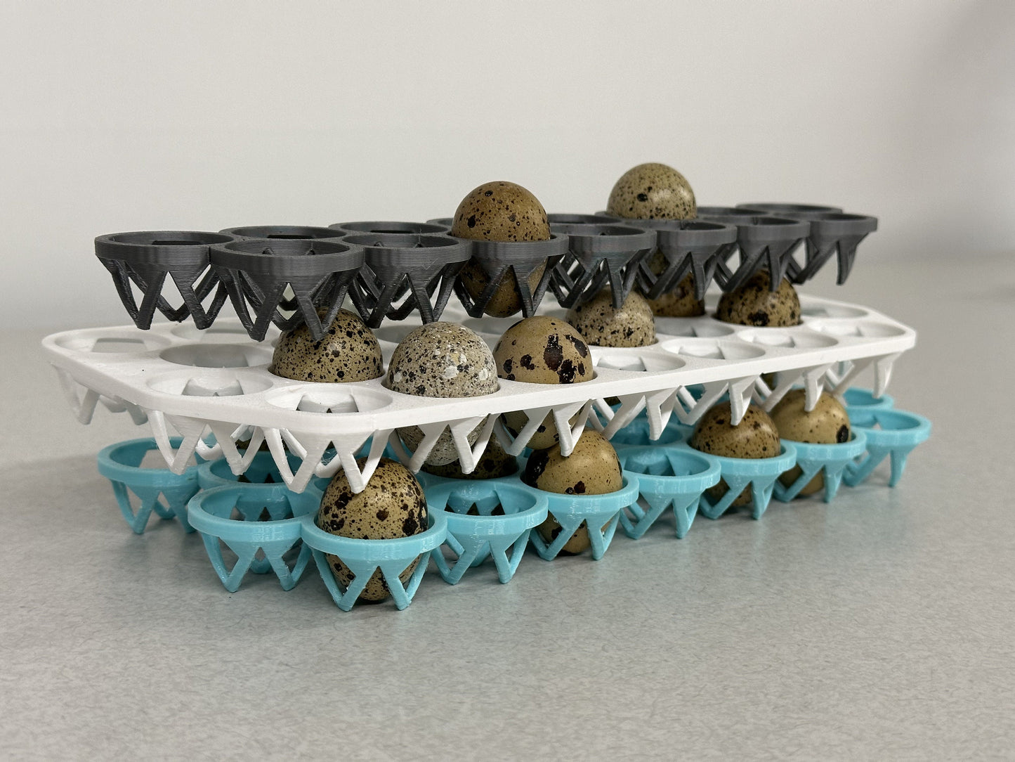 Custom Stackable Coturnix Quail Egg Tray