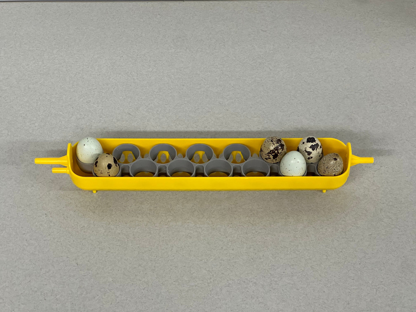 Maticoopx Coturnix Quail Egg Rack for Incubators