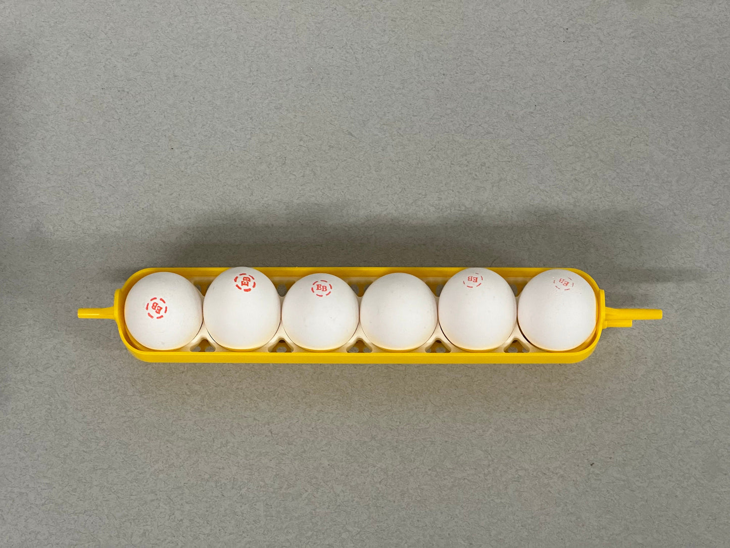 Maticoopx Chicken Egg Rack for Incubators