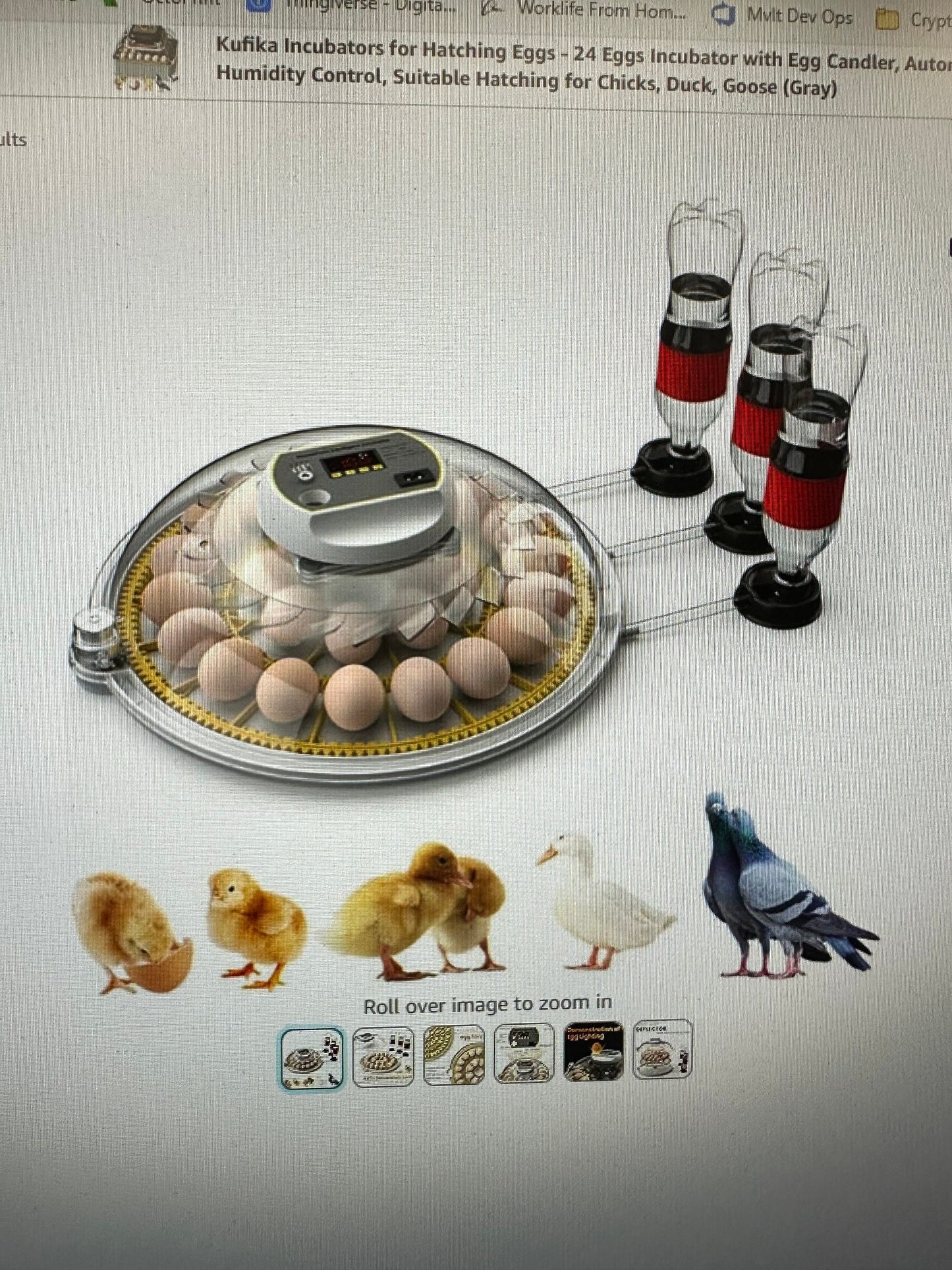 Jumbo Quail Egg Turner Tray For Generic Incubators