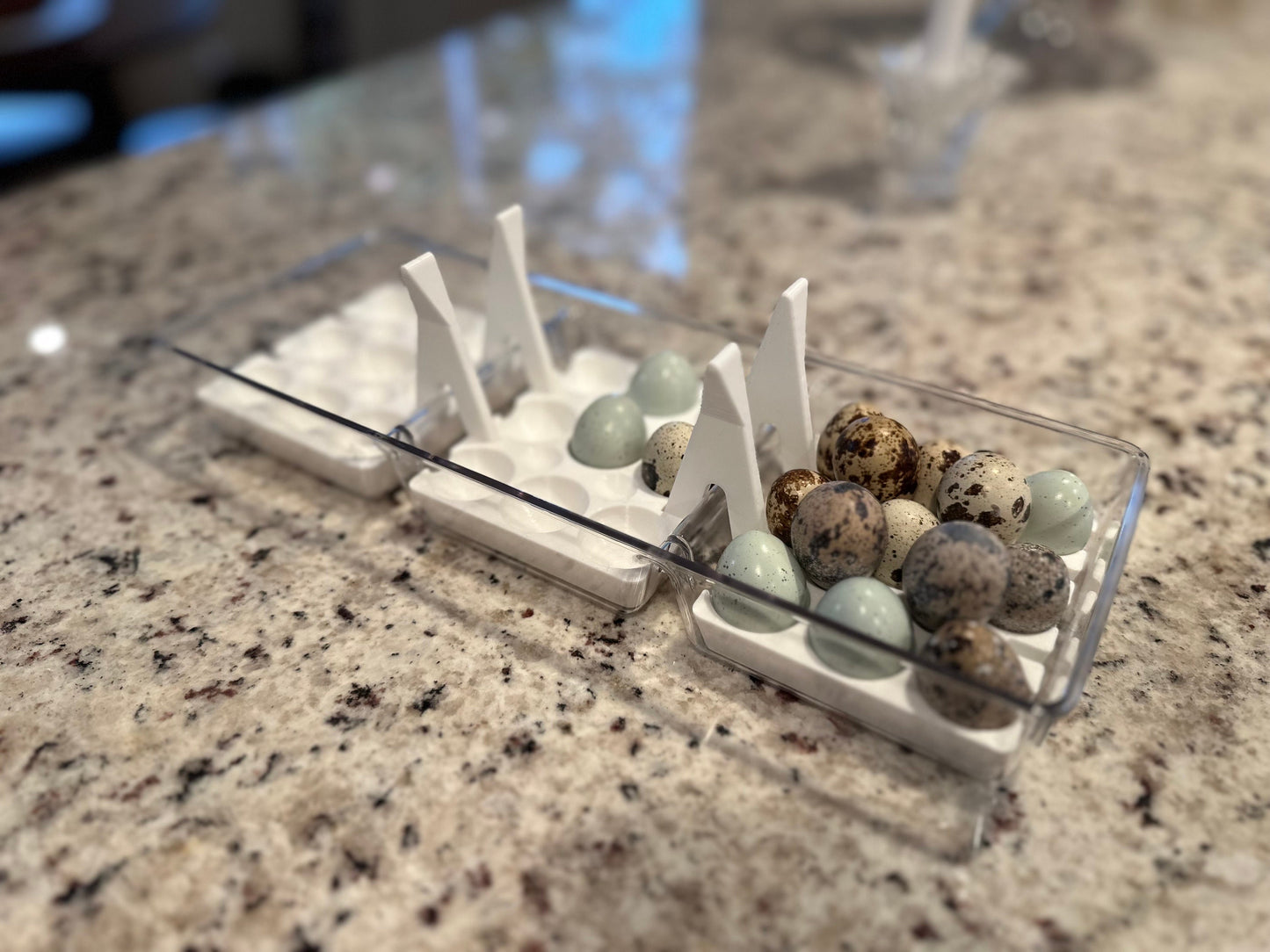 Custom Coturnix Quail Egg Tray System