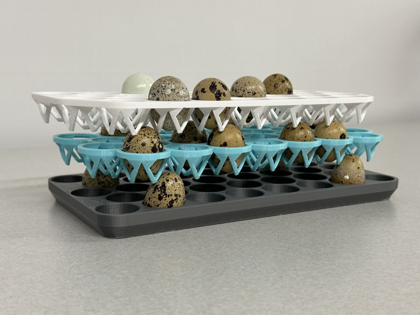 Custom Stackable Coturnix Quail Egg Tray