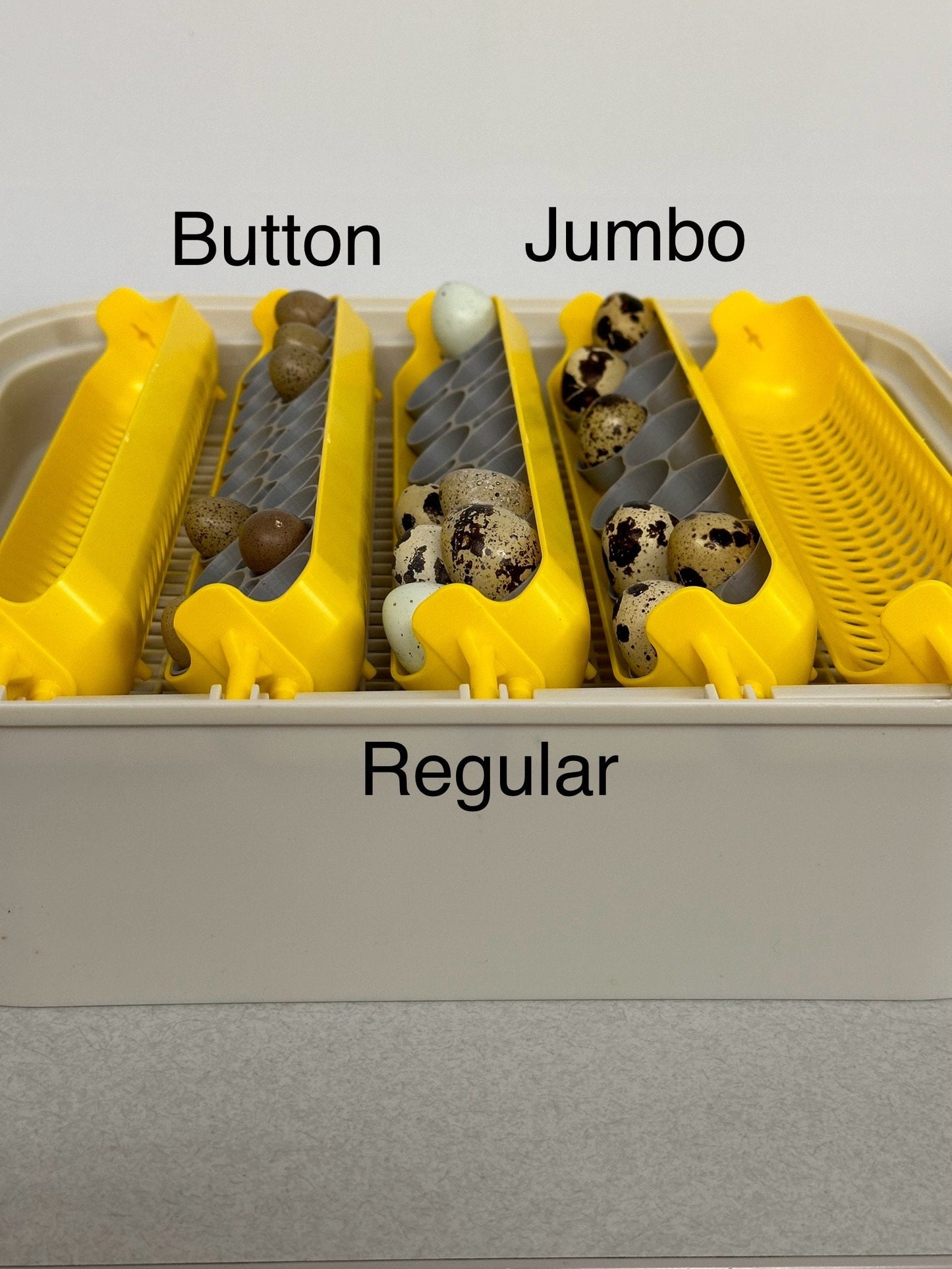Maticoopx Coturnix Quail Egg Rack for Incubators