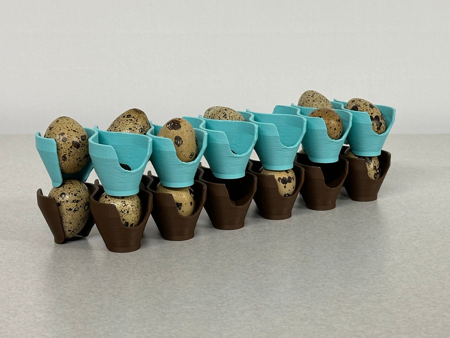 Jumbo Coturnix Quail Egg Stackable Tray