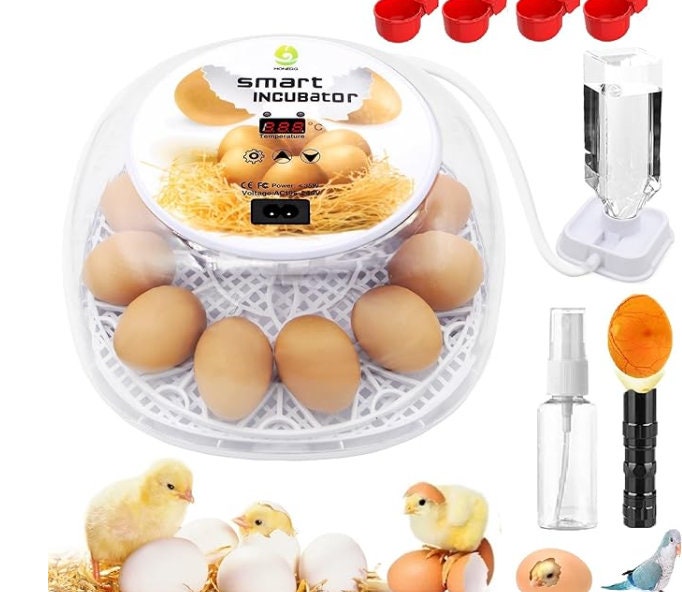 Divider for Viowey Smart Incubator 12-24 Eggs