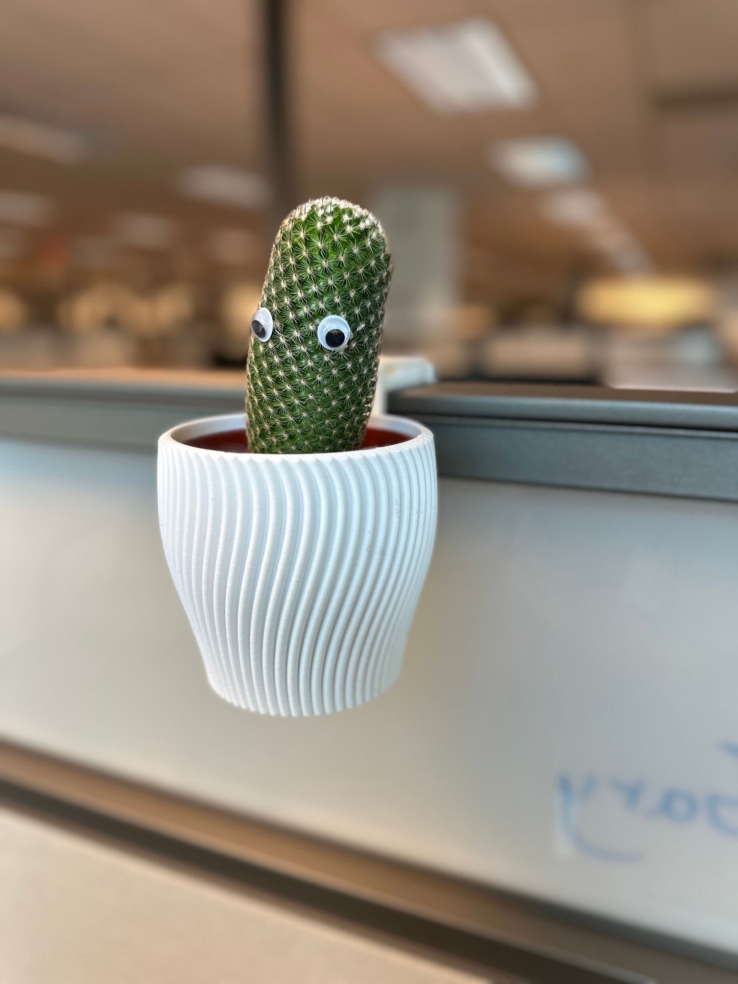 Wall Planter