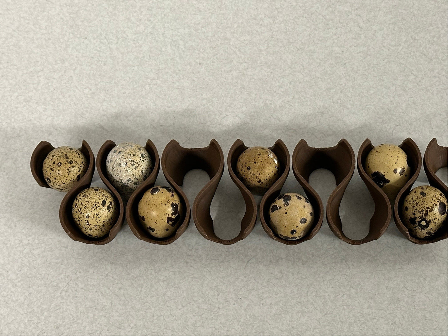 Jumbo Coturnix Quail Egg Stackable Tray