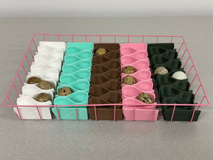 Coturnix Quail Egg Rectangular Basket (includes 5 egg trays)