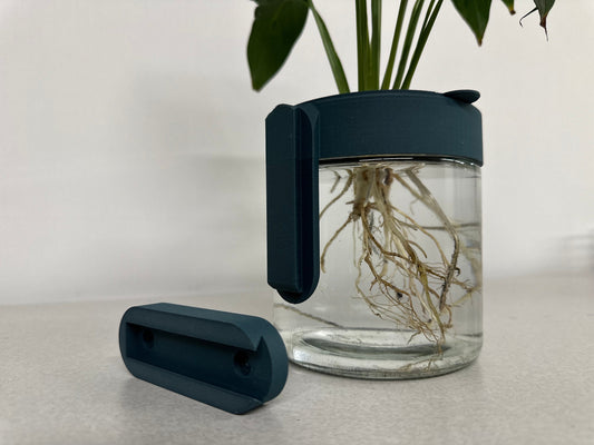 Water-Plant Wall Hanging Planter