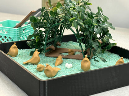 Quail Zen Garden